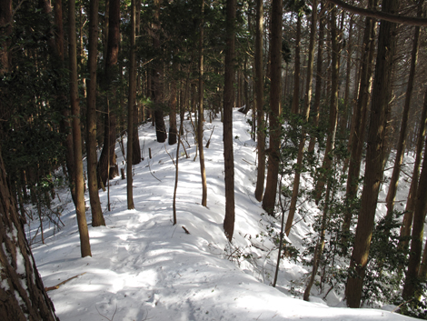 20140211hike (78)